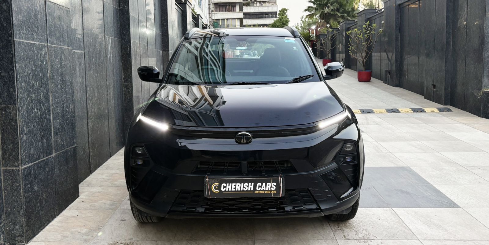 TATA NEXON - CREATIVE DARK EDITION - 2024