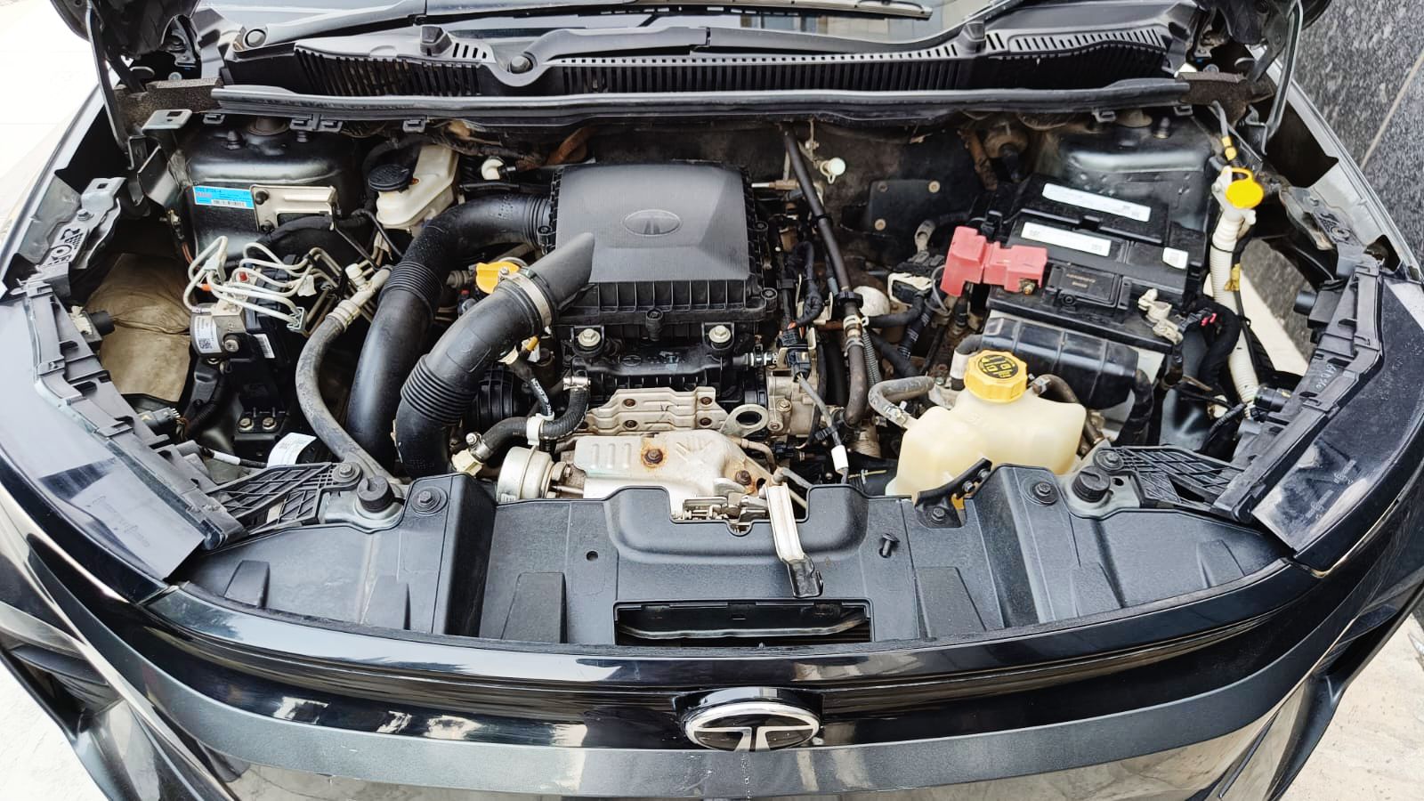 TATA NEXON - SMART PLUS - 2025