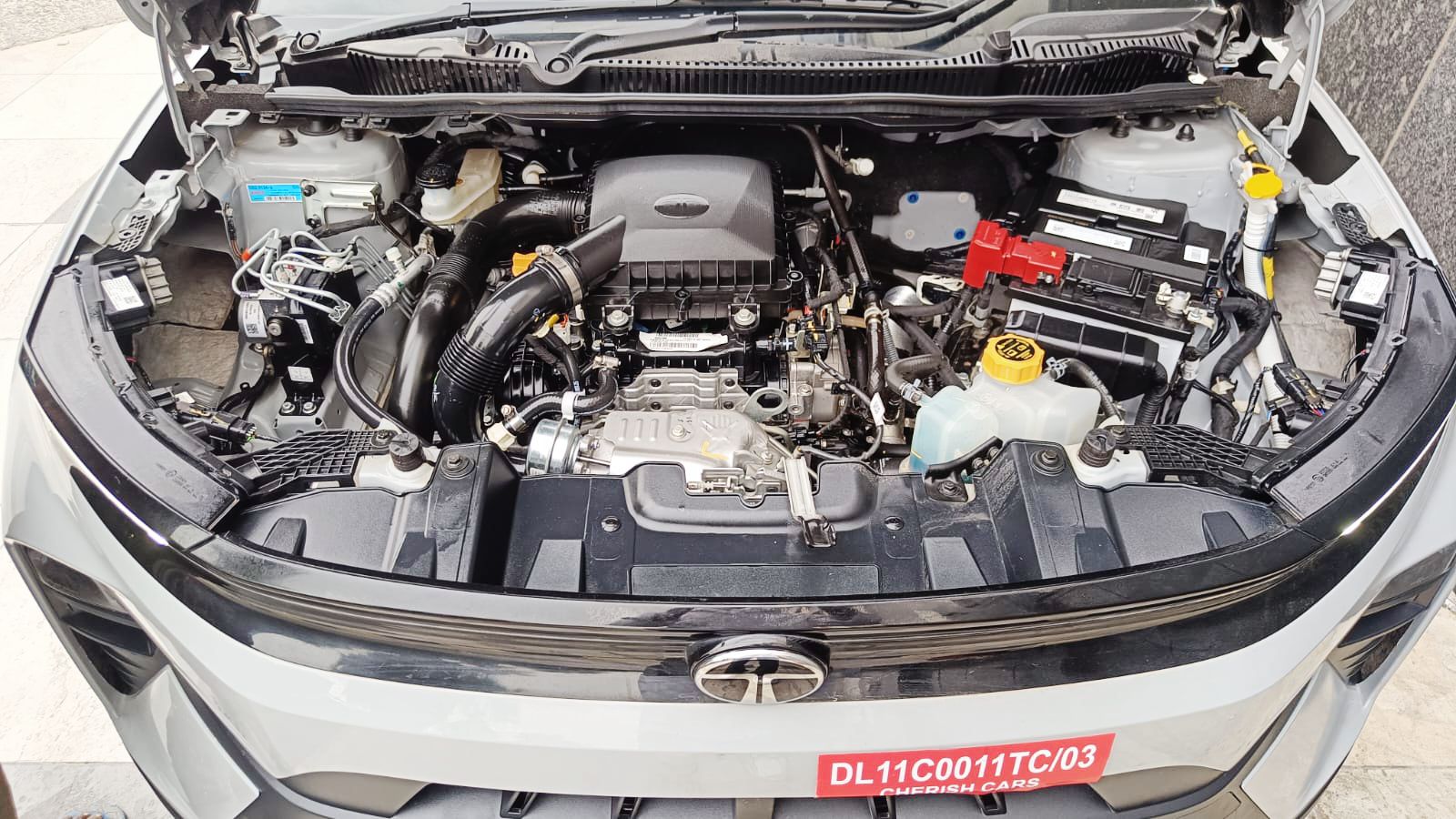 TATA NEXON - PURE PLUS - 2025 - UNREGISTERED