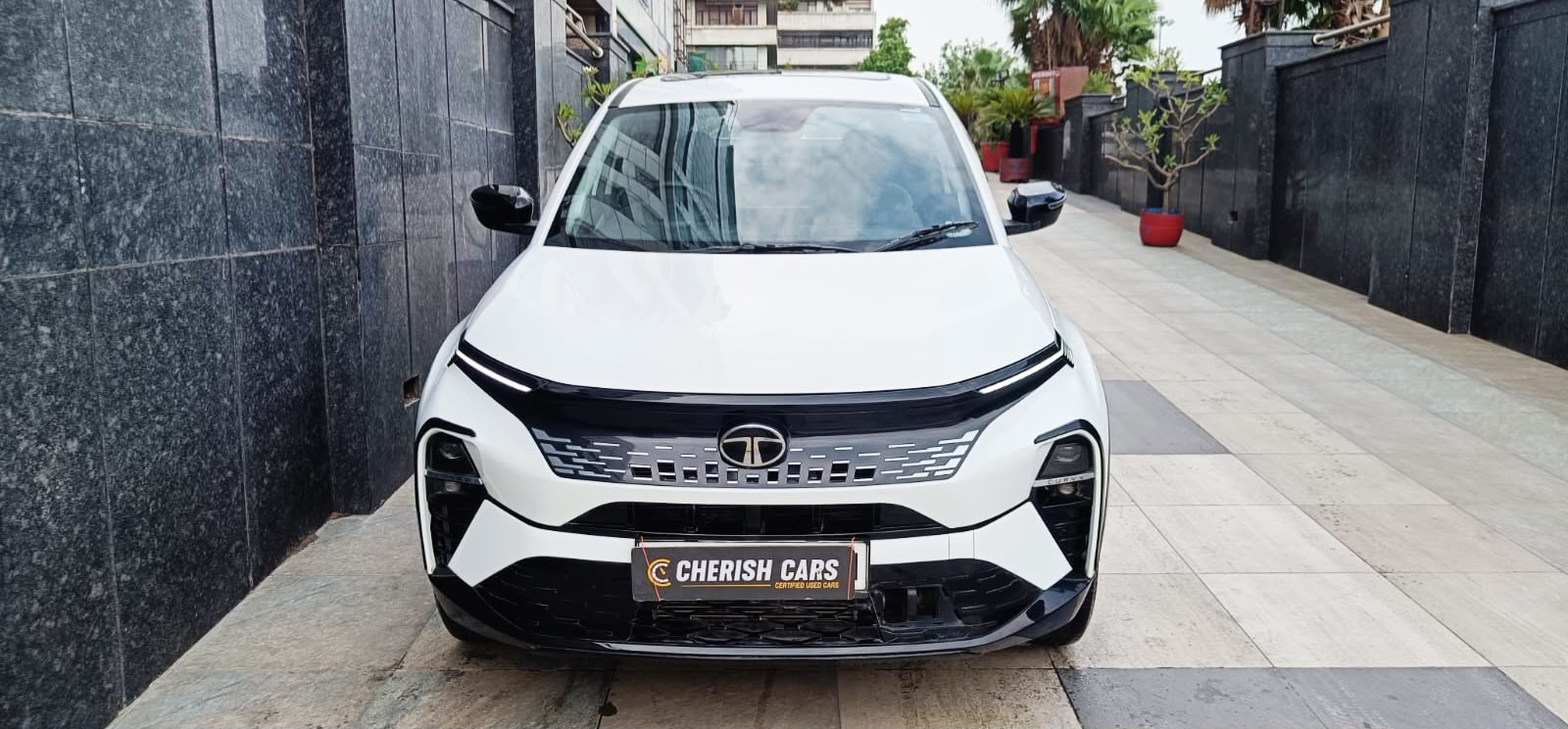 TATA CURVV - CREATIVE S DCA - PANAROMIC SUNROOF - AUTOMATIC - 2025