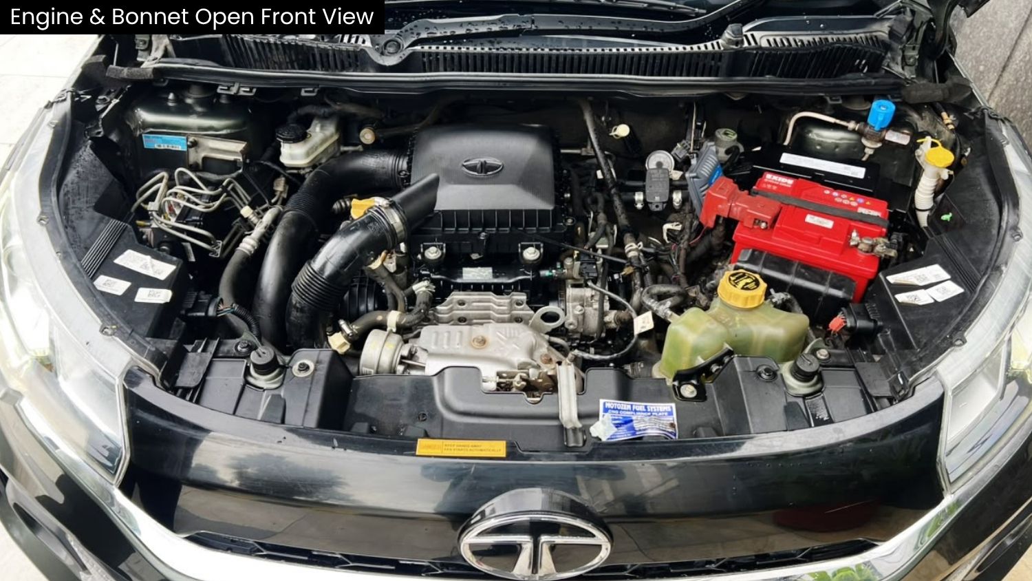 TATA NEXON - XMA CNG - AUTOMATIC - 2023